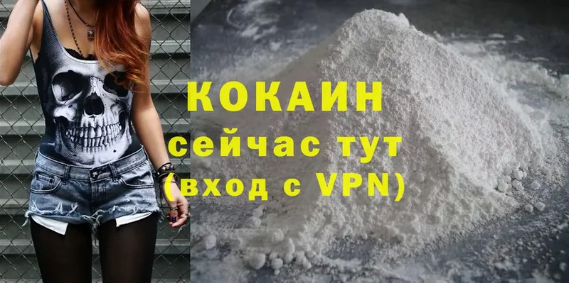 дарнет шоп  hydra ССЫЛКА  Cocaine FishScale  Нюрба 