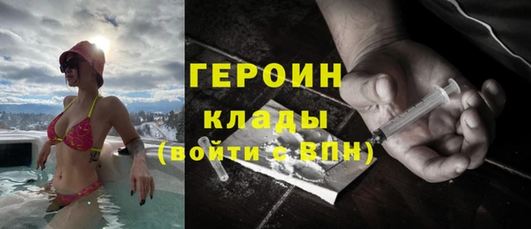 шишки Новодвинск