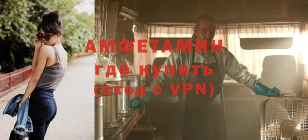 шишки Новодвинск