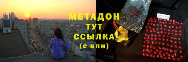 шишки Новодвинск