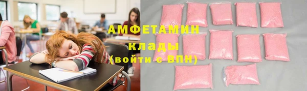 шишки Новодвинск